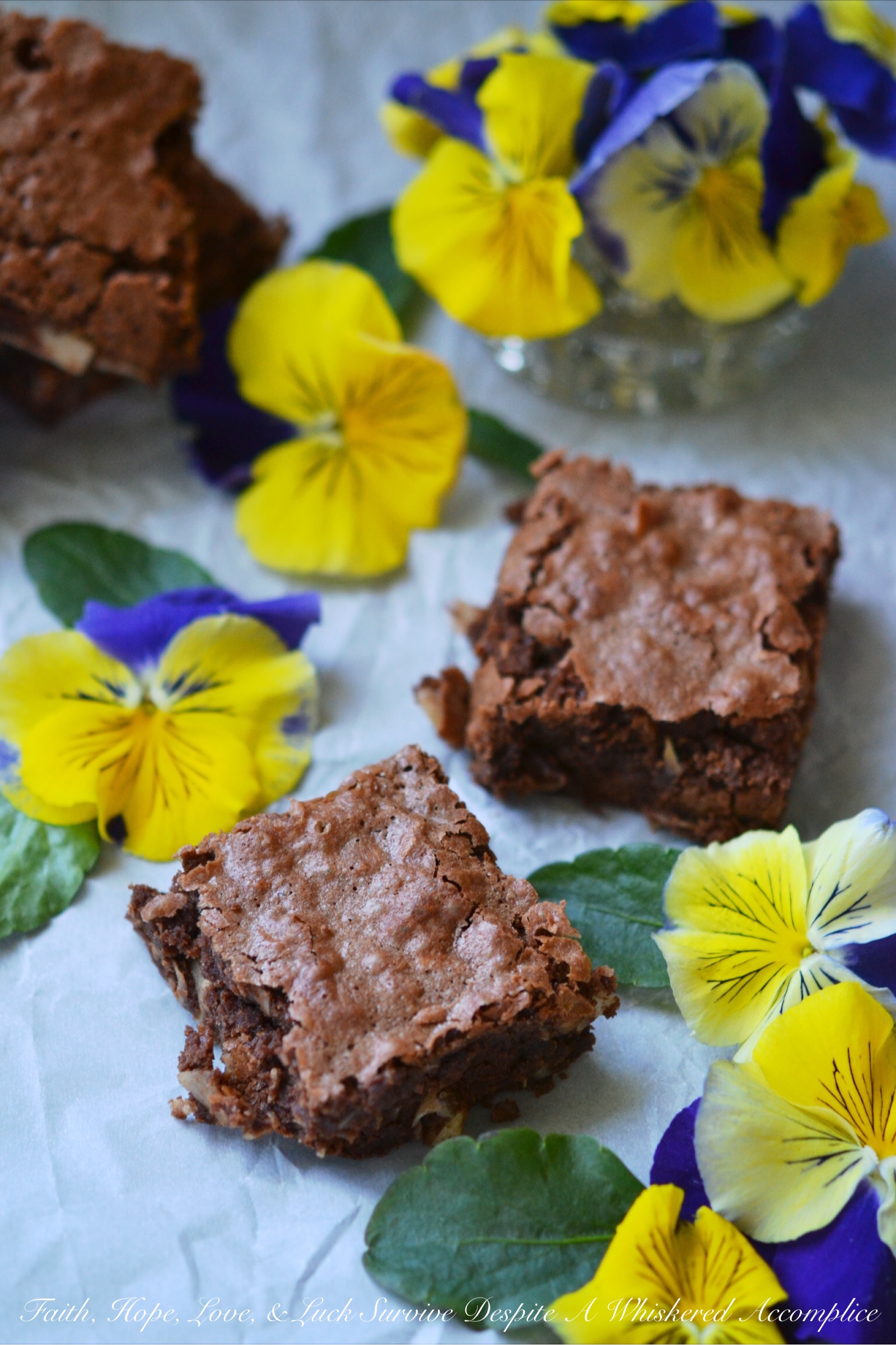 Milk Chocolate Coconut Brownies