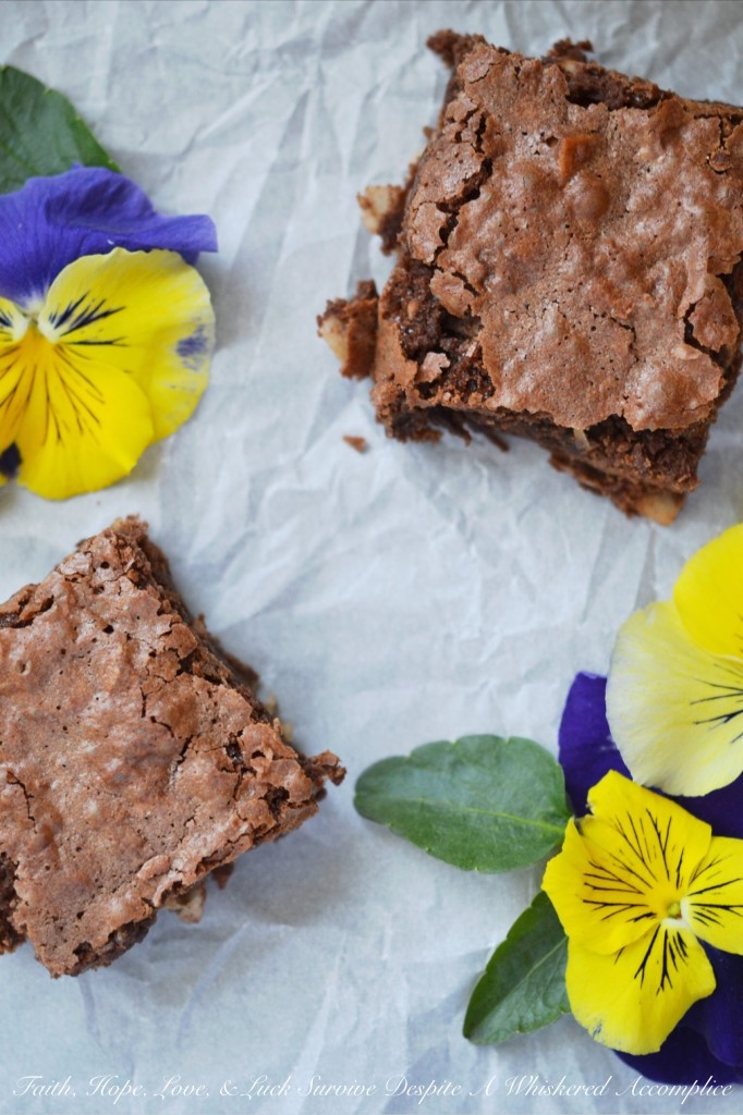 Milk Chocolate Coconut Brownies - Milk chocolate homemade brownies are a cinch to make and so much better than any chocolaty dessert treat that you can make out of a pre-packaged boxed mix. This from-scratch cakey dessert is even more special due to the addition of flaked coconut and coconut extract, which give these chocolate brownies an unmistakable tropical vibe.