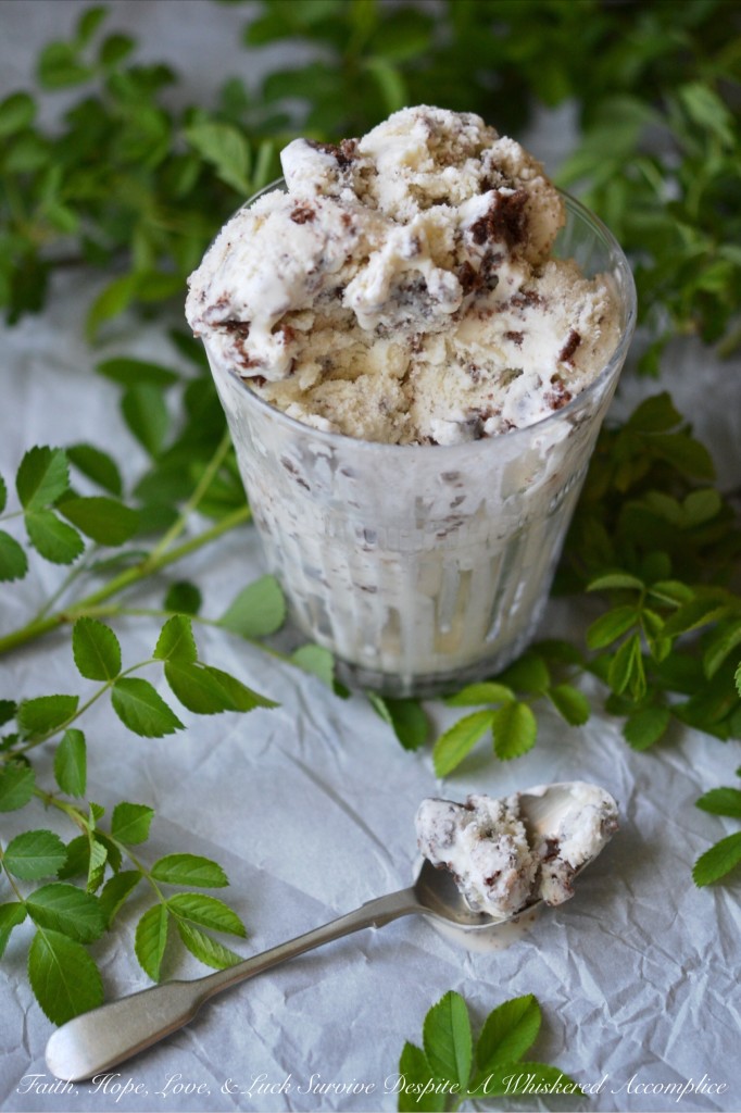 Simple Coconut Brownie Ice Cream - If you love coconut, you're going to swoon over this sweet creamy coconut ice cream, made with coconut extract. It's filled with chunks of chocolate brownie and a little bit of chopped chocolate. This frozen treat really highlights the unbeatable duo of coconut and chocolate and the coconut flavor in this creamy and crunchy ice cream really shines through.