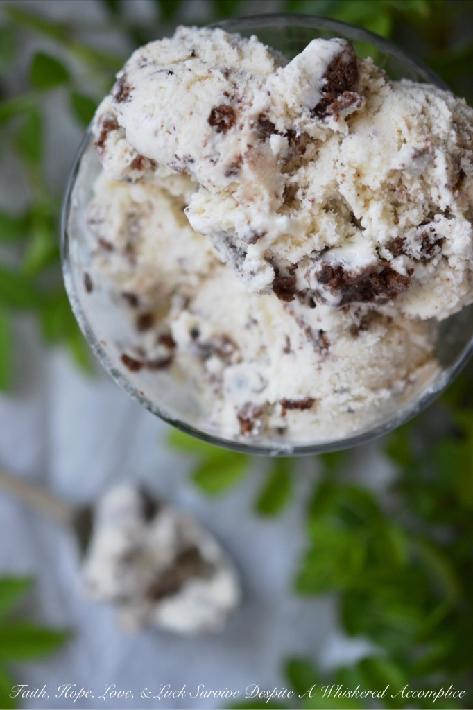 Simple Coconut Brownie Ice Cream - If you love coconut, you're going to swoon over this sweet creamy coconut ice cream, made with coconut extract. It's filled with chunks of chocolate brownie and a little bit of chopped chocolate. This frozen treat really highlights the unbeatable duo of coconut and chocolate and the coconut flavor in this creamy and crunchy ice cream really shines through.