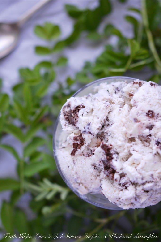 Simple Coconut Brownie Ice Cream - If you love coconut, you're going to swoon over this sweet creamy coconut ice cream, made with coconut extract. It's filled with chunks of chocolate brownie and a little bit of chopped chocolate. This frozen treat really highlights the unbeatable duo of coconut and chocolate and the coconut flavor in this creamy and crunchy ice cream really shines through.