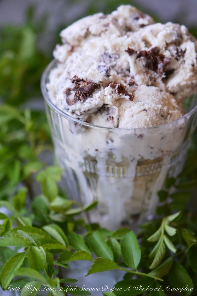 Simple Coconut Brownie Ice Cream - If you love coconut, you're going to swoon over this sweet creamy coconut ice cream, made with coconut extract. It's filled with chunks of chocolate brownie and a little bit of chopped chocolate. This frozen treat really highlights the unbeatable duo of coconut and chocolate and the coconut flavor in this creamy and crunchy ice cream really shines through.