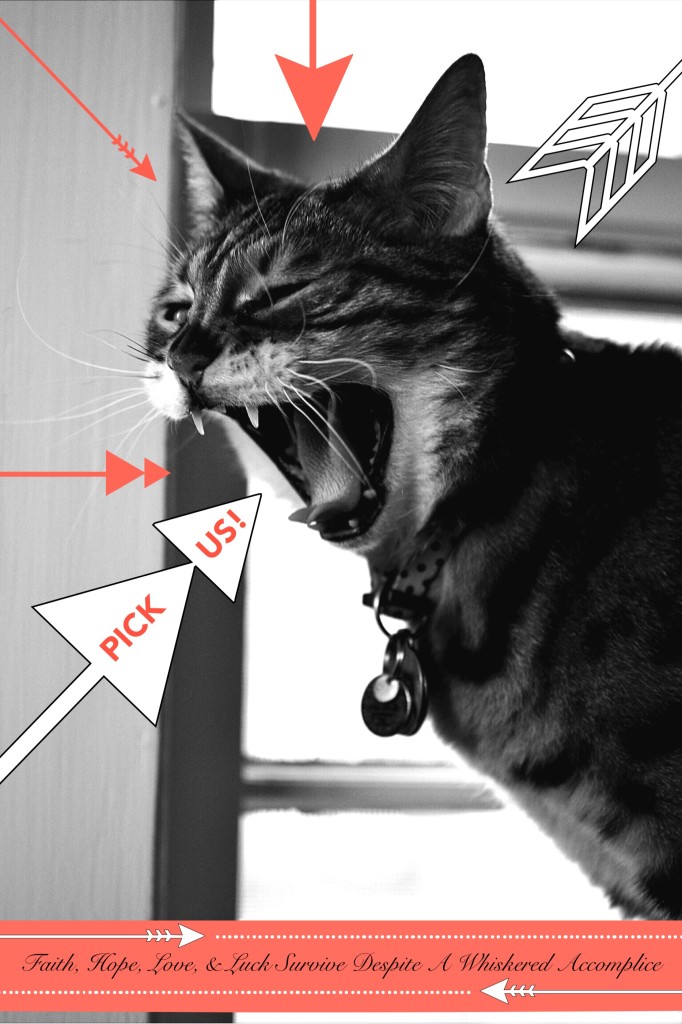 Please Pick My Mommy #LuvSoFab | Faith, Hope, Love, and Luck Survive Despite a Whiskered Accomplice