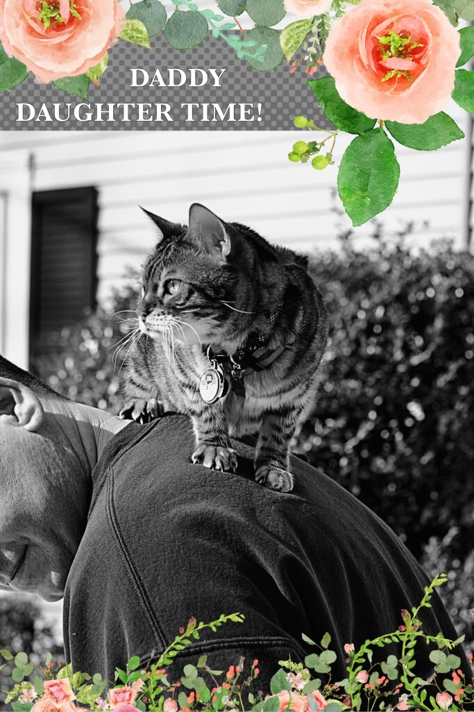 Please Pick My Mommy #LuvSoFab | Faith, Hope, Love, and Luck Survive Despite a Whiskered Accomplice