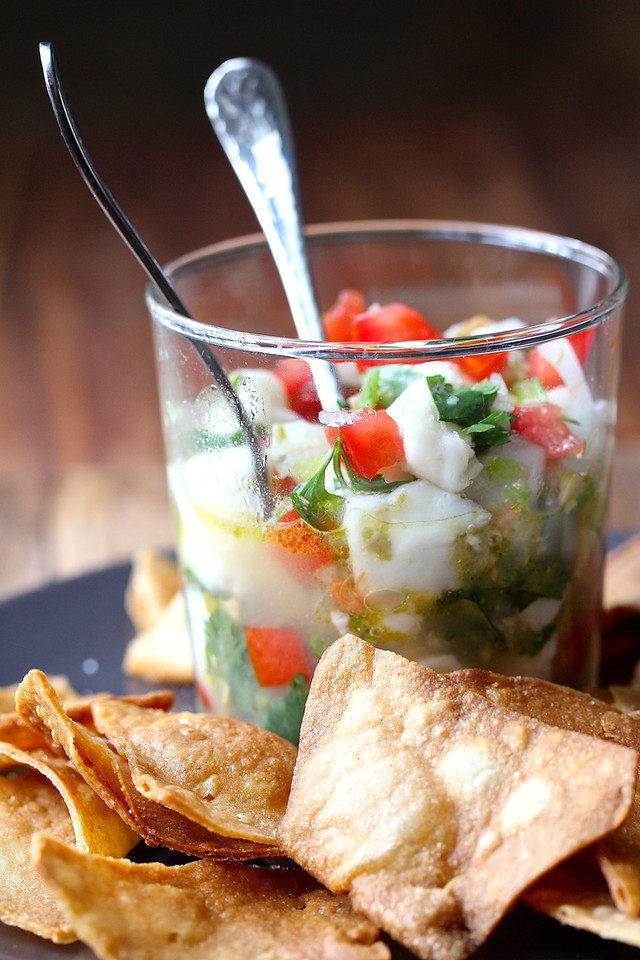 Spicy Halibut Ceviche | Faith, Hope, Love, & Luck Survive Despite a Whiskered Accomplice