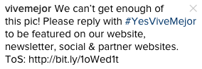 #YesViveMejor Instagram Shout | Faith, Hope, Love, and Luck Survive Despite a Whiskered Accomplice