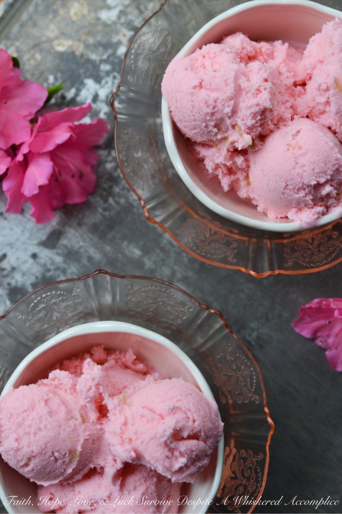 Pink Rhubarb Ice Cream - A little bit of rhubarb and pink food coloring can turn basic vanilla ice cream into something truly delicious. This sweet frozen treat is a great way to use home-grown or farmer's market rhubarb this spring.