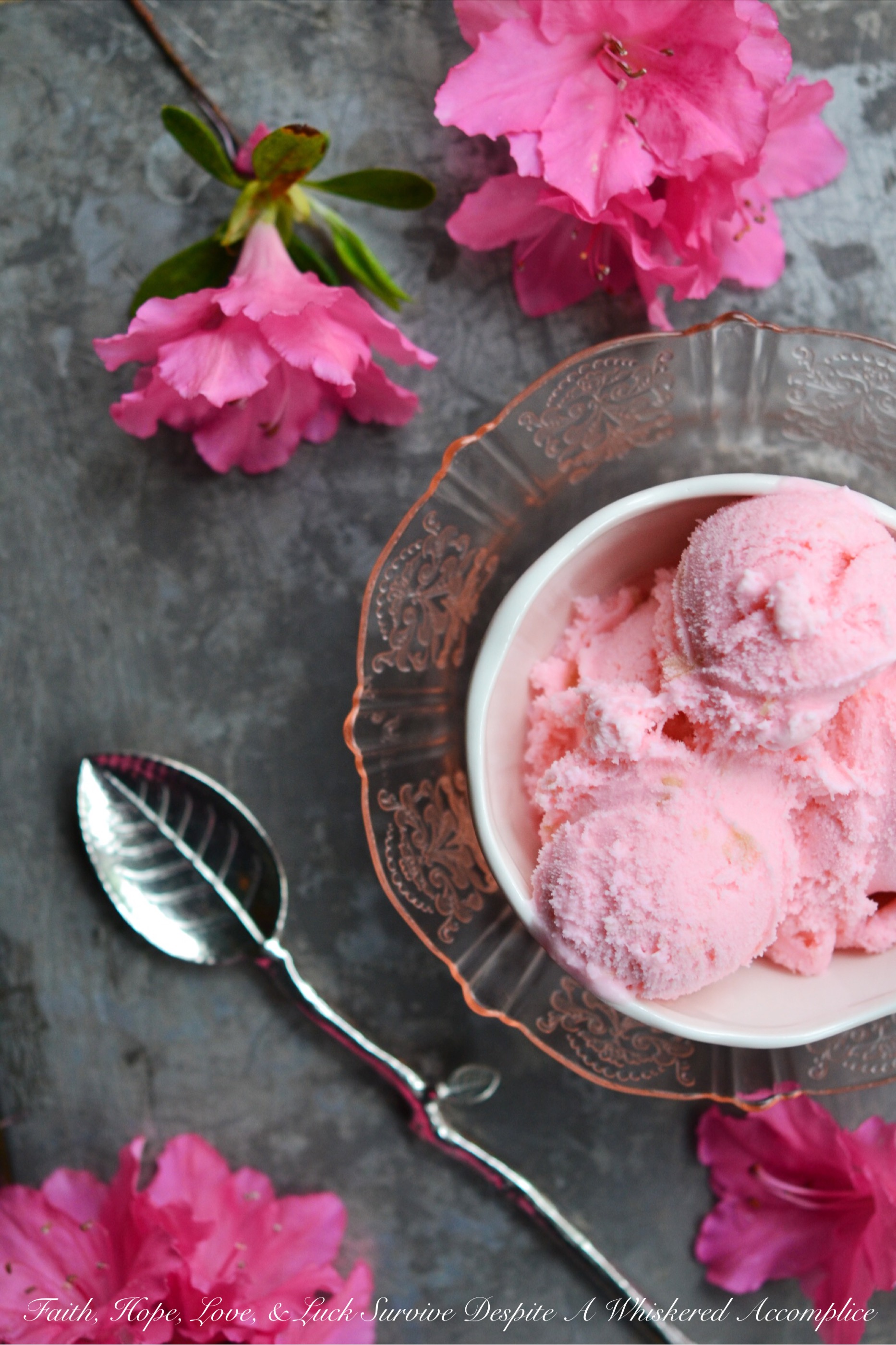 Pink Rhubarb Ice Cream