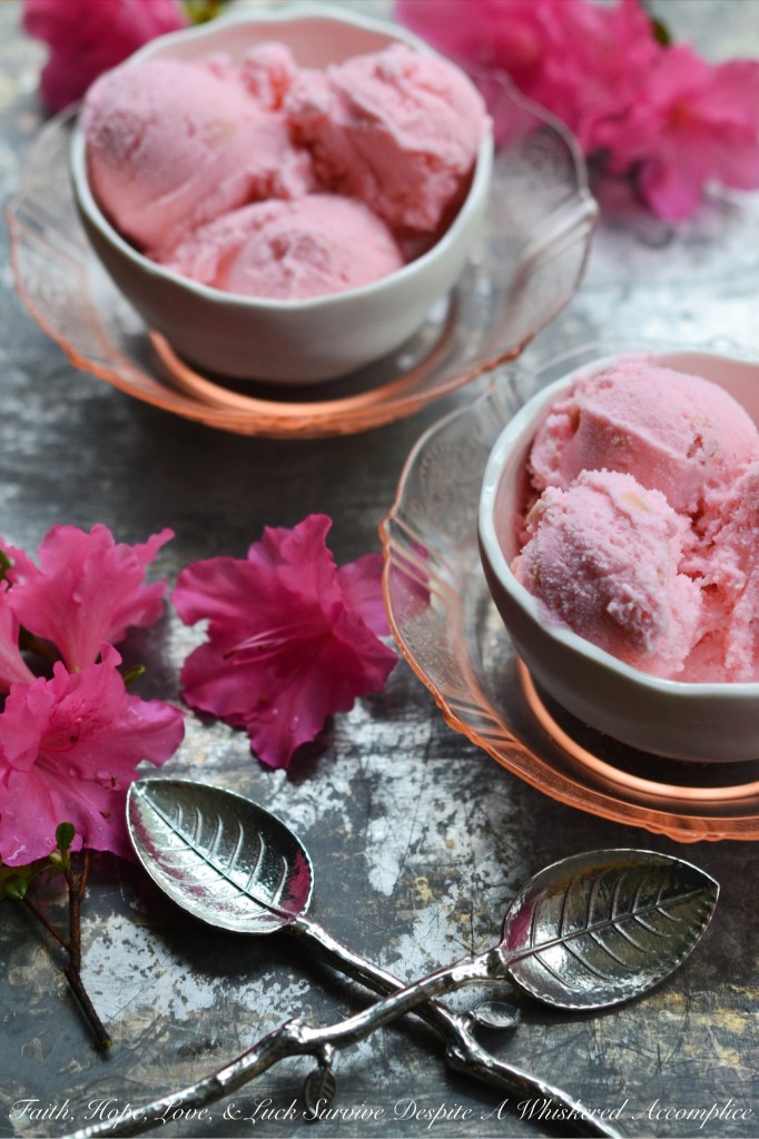 Pink Rhubarb Ice Cream - A little bit of rhubarb and pink food coloring can turn basic vanilla ice cream into something truly delicious. This sweet frozen treat is a great way to use home-grown or farmer's market rhubarb this spring.
