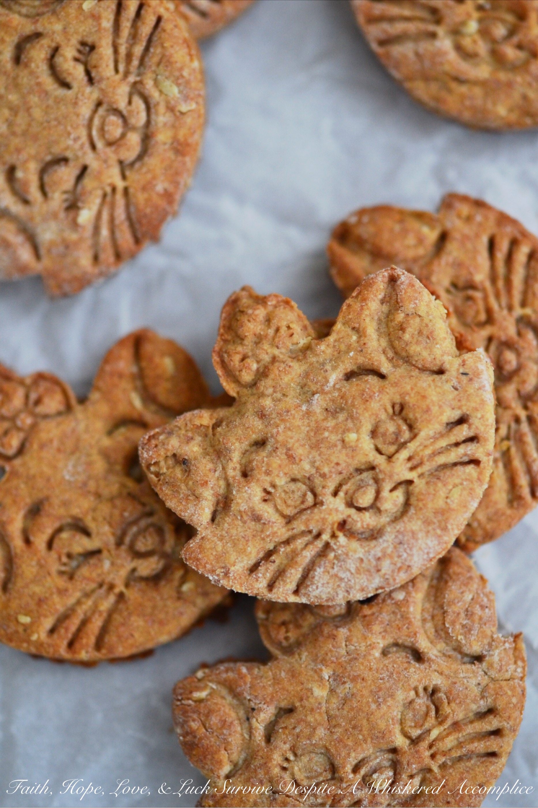 Here Kitty Kitty Dog Treats