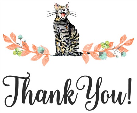 Thank You | Faith, Hope,Love, and Luck Survive Despite a Whiskered Accomplice