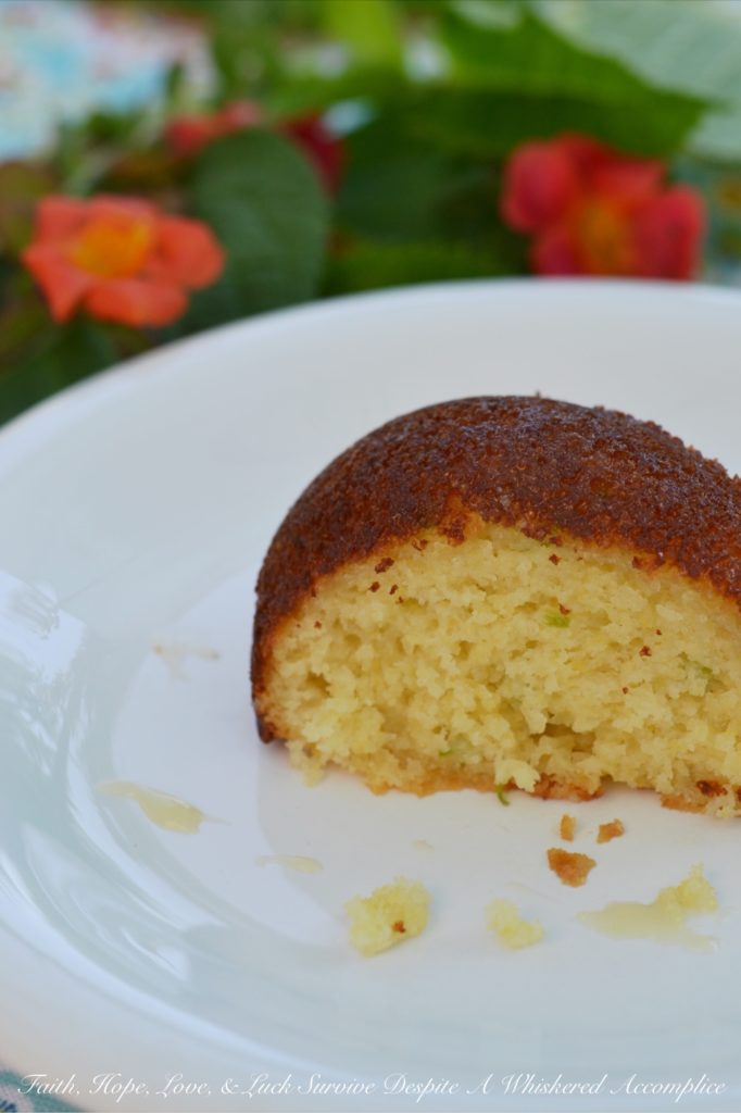 Southern Honey Drenched Jalapeño Cornbread | Faith, Hope, Love, and Luck Survive Despite a Whiskered Accomplice