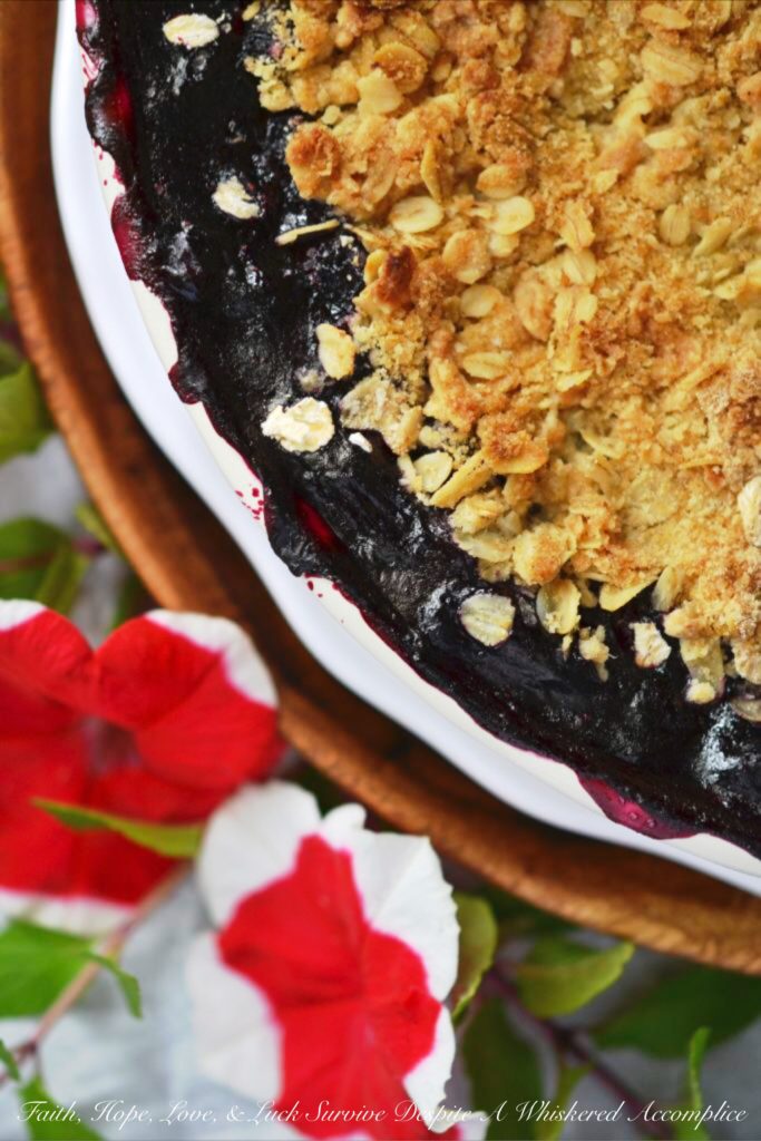 Summer Blueberry Pie Crisp - This is the perfect recipe for when you don't want to spend a lot of time in the kitchen. You can have this Summer Blueberry Pie Crisp assembled and in the oven in 10 minutes, leaving you more time to relax in the sun. With its bubbly, sweet blueberry filling and golden, crunchy oat topping, this is the kind of dessert that deserves your fanciest pie dish.