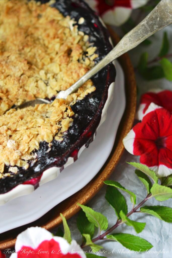 Summer Blueberry Pie Crisp - This is the perfect recipe for when you don't want to spend a lot of time in the kitchen. You can have this Summer Blueberry Pie Crisp assembled and in the oven in 10 minutes, leaving you more time to relax in the sun. With its bubbly, sweet blueberry filling and golden, crunchy oat topping, this is the kind of dessert that deserves your fanciest pie dish.
