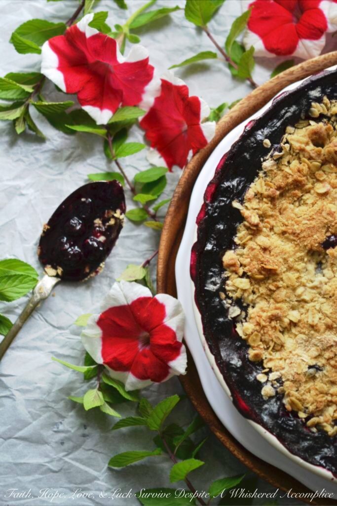 Summer Blueberry Pie Crisp - This is the perfect recipe for when you don't want to spend a lot of time in the kitchen. You can have this Summer Blueberry Pie Crisp assembled and in the oven in 10 minutes, leaving you more time to relax in the sun. With its bubbly, sweet blueberry filling and golden, crunchy oat topping, this is the kind of dessert that deserves your fanciest pie dish.