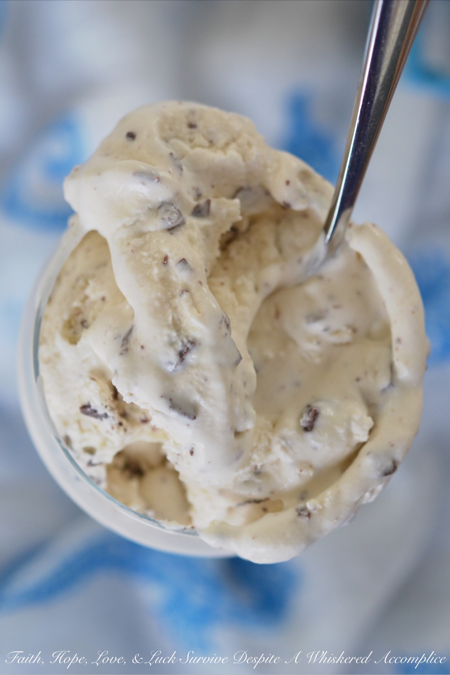 Salty Caribbean Vanilla Ice Cream