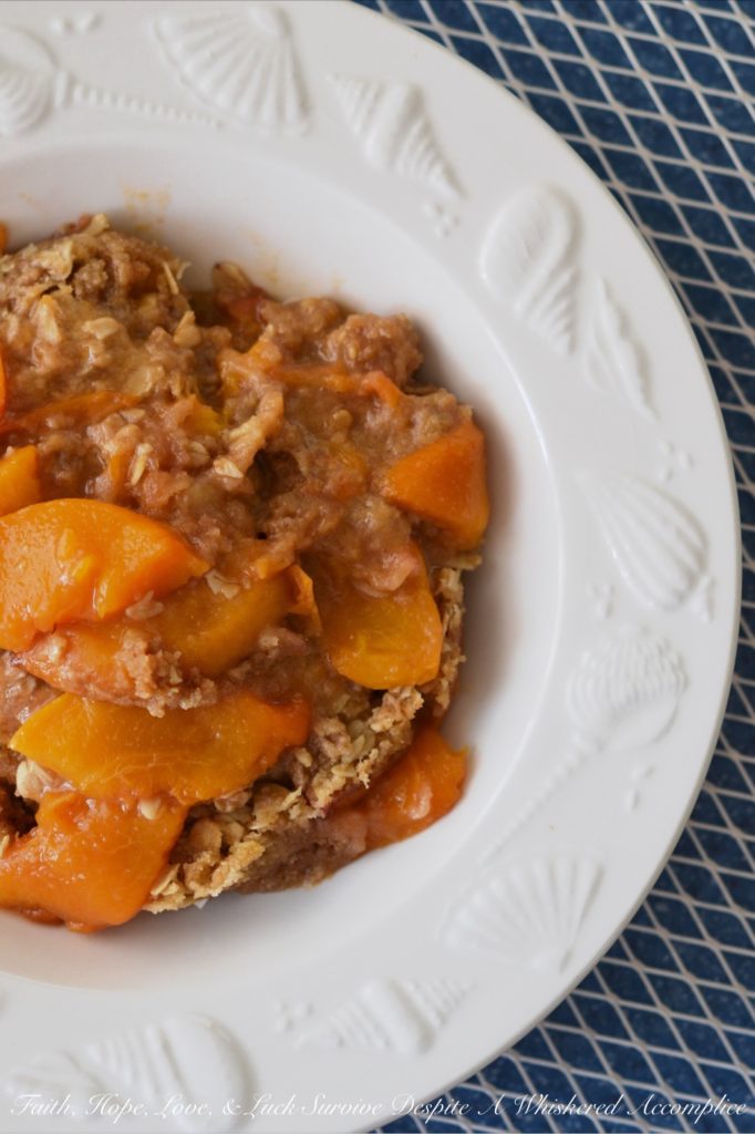 Malibu Crockpot Peach Beach Crisp - I look forward to going on our summer beach vacation each year, but I don't always relish the time spent cooking for everyone. This easy-to-make slow-cooker fresh peach breakfast crisp gives me more time to lie in the sun and enjoy the waves. Top with a little bit of whipped cream and/or ice cream and this crockpot breakfast crisp, made with summertime peaches, also transforms into an absolutely amazing dessert recipe.