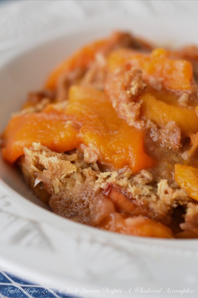 Malibu Crockpot Peach Beach Crisp - I look forward to going on our summer beach vacation each year, but I don't always relish the time spent cooking for everyone. This easy-to-make slow-cooker fresh peach breakfast crisp gives me more time to lie in the sun and enjoy the waves. Top with a little bit of whipped cream and/or ice cream and this crockpot breakfast crisp, made with summertime peaches, also transforms into an absolutely amazing dessert recipe.