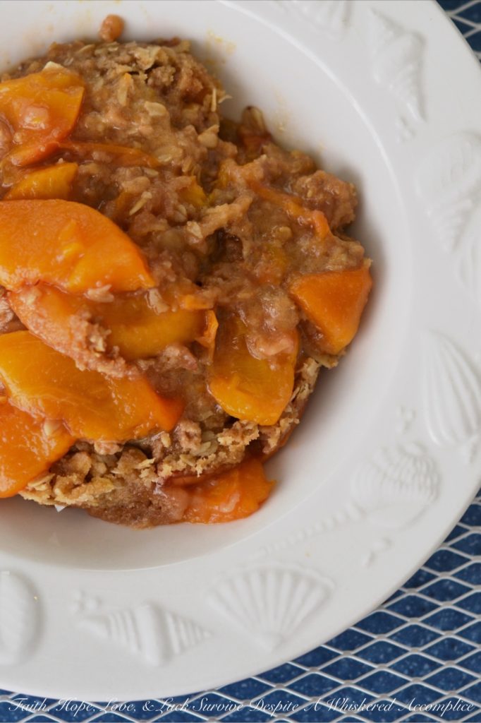 Malibu Crockpot Peach Beach Crisp - I look forward to going on our summer beach vacation each year, but I don't always relish the time spent cooking for everyone. This easy-to-make slow-cooker fresh peach breakfast crisp gives me more time to lie in the sun and enjoy the waves. Top with a little bit of whipped cream and/or ice cream and this crockpot breakfast crisp, made with summertime peaches, also transforms into an absolutely amazing dessert recipe.