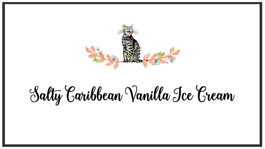 Salty Caribbean Vanilla Ice Cream Label - Give the gift of ice cream; the gift that keeps on giving. Get your free recipe card and label today for Salty Caribbean Vanilla Ice Cream. Looking to take your vanilla ice cream to the next level this summer? Try adding some salted chocolate and premium vanilla to create an island beach-worthy version that is sure to impress. The combination of sweet and salty flavors will have you oohing and ahhing over this sweet, salty, and chocolaty dessert. Why settle for plain vanilla when you can have a decadent, gourmet treat that’s sure to impress?