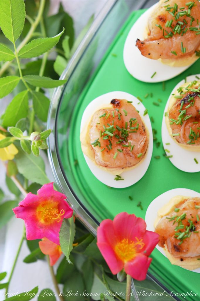 Honey-Barbecue Shrimp Deviled Eggs - Just when you think a deviled egg couldn't possibly get any more delicious, these Honey-Barbecue Shrimp Deviled Eggs come along. They're slightly sweet, tangy, and zesty, all while still remaining insanely creamy. Adding honey-barbecue basted shrimp to deviled eggs definitely makes them almost sinful.