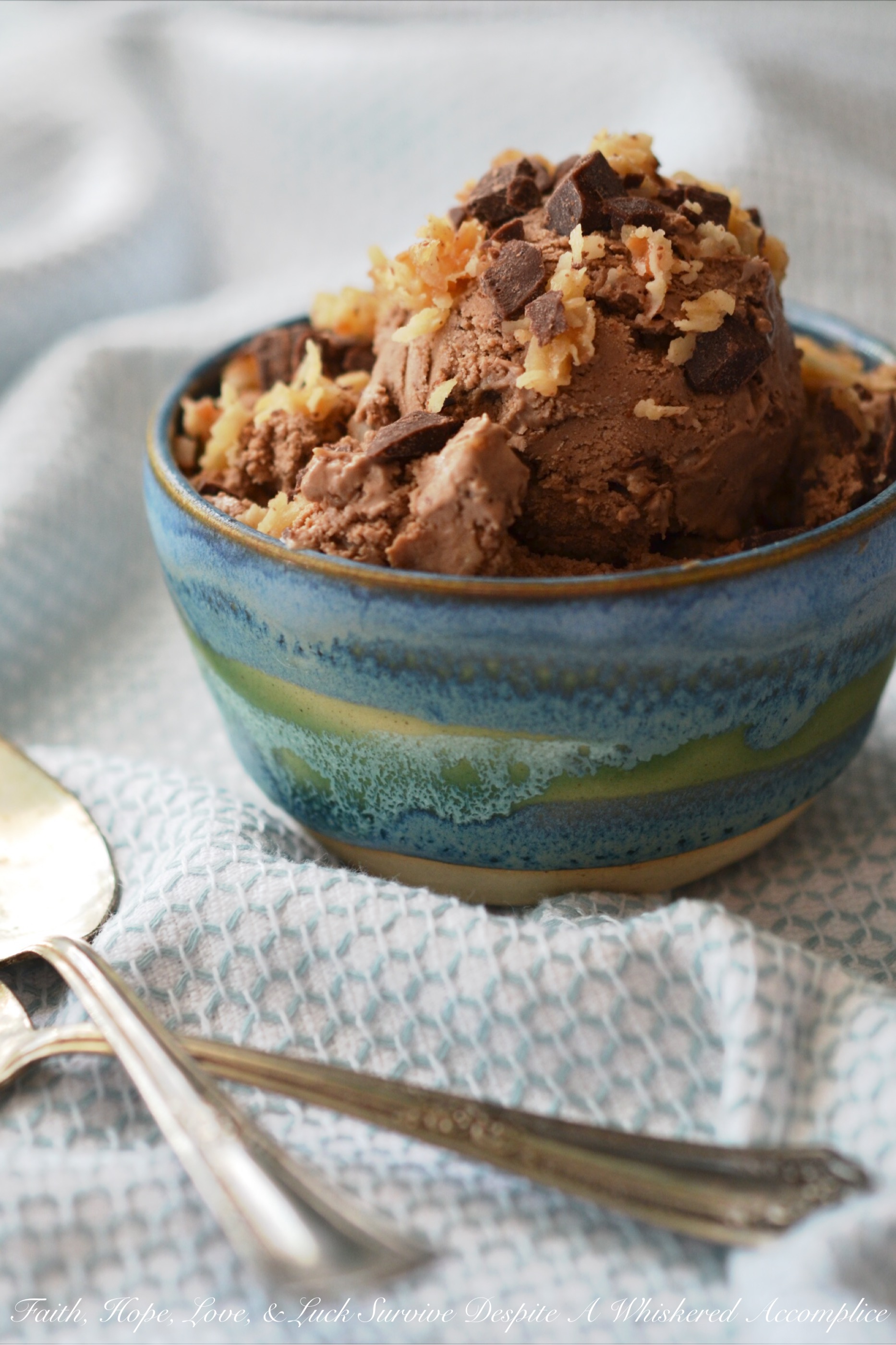 Chocolate Toasted Coconut Frozen Pudding