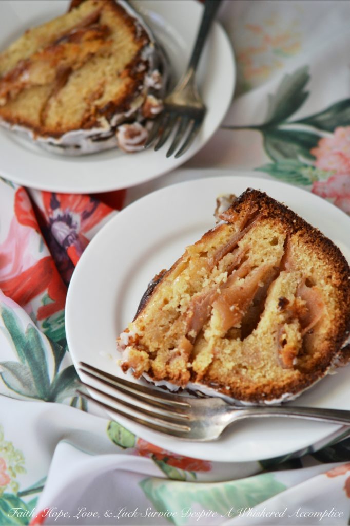 Jewish Praline Pecan Apple Cake - This apple-studded cake is the perfect Autumn Bundt. Topped with crunchy cinnamon praline pecans and drizzled with powdered sugar glaze, it's cake at its very best.