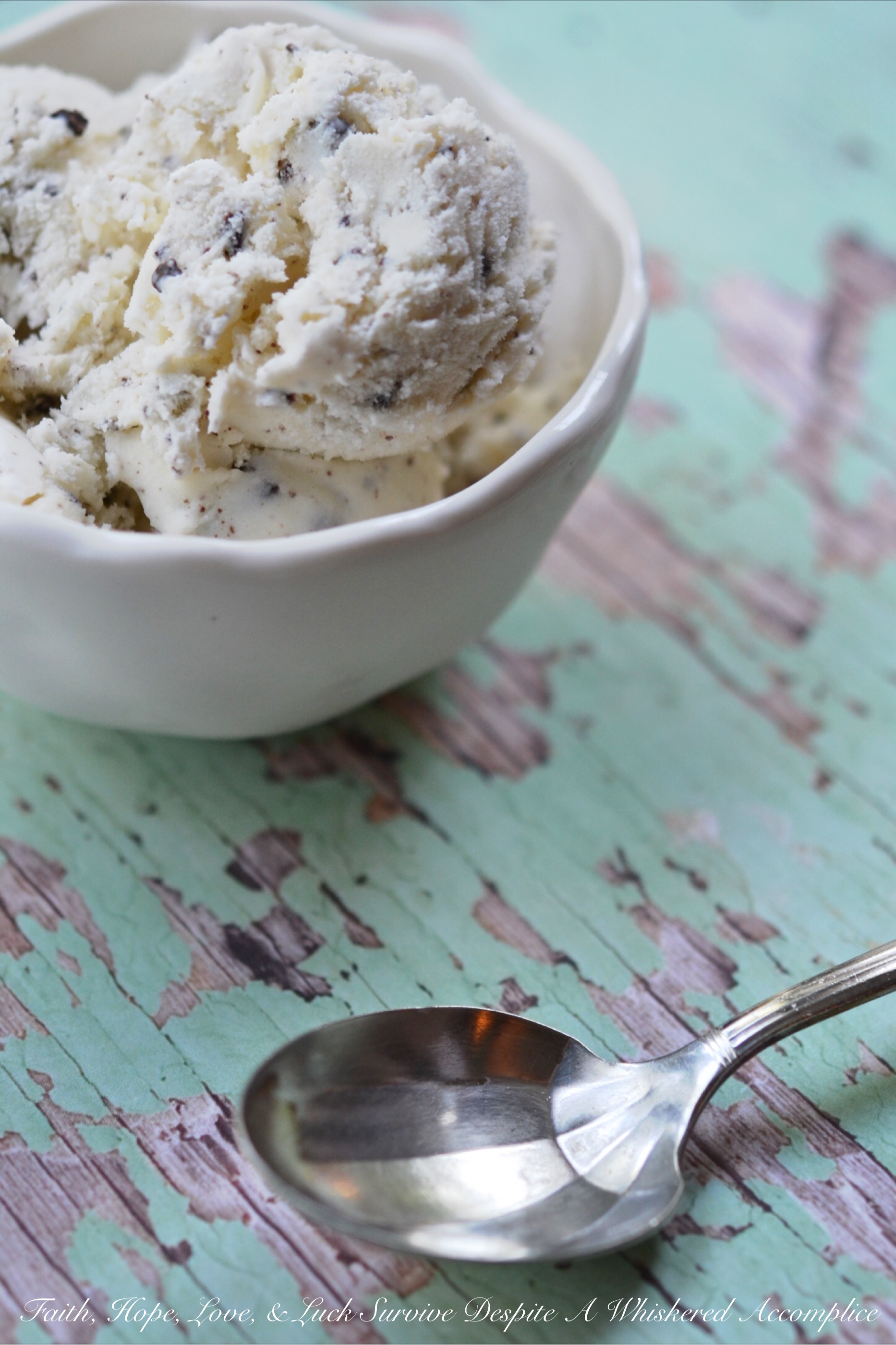 Delicate Mint Chocolate Chunk Ice Cream