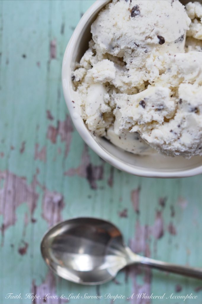 Delicate Mint Chocolate Chunk Ice Cream - This ice cream is the perfect combination of mint and chocolate. The delicate mint flavor combined with the chocolate makes for an incredibly delicious treat. And, it's a great way to use up any extra garden mint you have on hand to create a refreshing frozen dessert everyone will love.