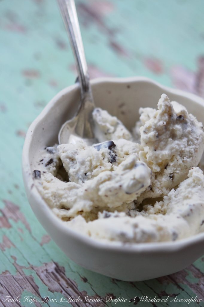 Delicate Mint Chocolate Chunk Ice Cream - This ice cream is the perfect combination of mint and chocolate. The delicate mint flavor combined with the chocolate makes for an incredibly delicious treat. And, it's a great way to use up any extra garden mint you have on hand to create a refreshing frozen dessert everyone will love.