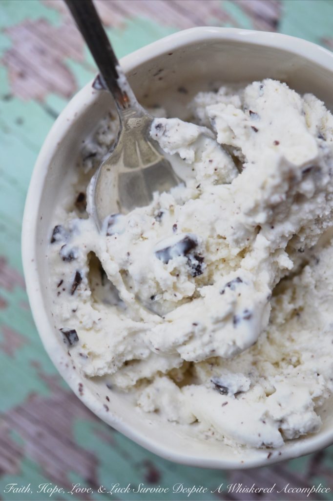 Delicate Mint Chocolate Chunk Ice Cream - This ice cream is the perfect combination of mint and chocolate. The delicate mint flavor combined with the chocolate makes for an incredibly delicious treat. And, it's a great way to use up any extra garden mint you have on hand to create a refreshing frozen dessert everyone will love.
