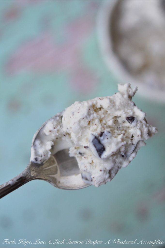 Delicate Mint Chocolate Chunk Ice Cream - This ice cream is the perfect combination of mint and chocolate. The delicate mint flavor combined with the chocolate makes for an incredibly delicious treat. And, it's a great way to use up any extra garden mint you have on hand to create a refreshing frozen dessert everyone will love.