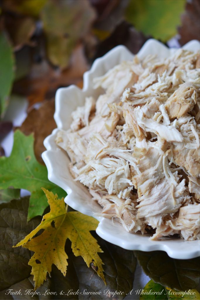 Autumn Crockpot Poached Chicken Breasts | Faith, Hope, Love, and Luck Survive Despite a Whiskered Accomplice