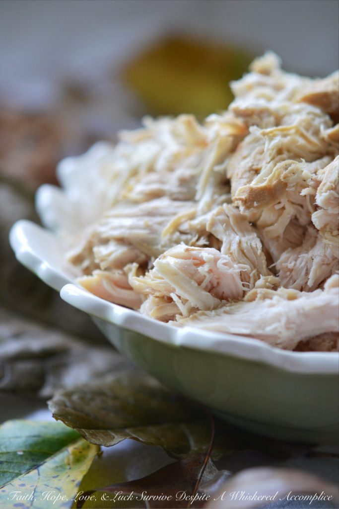 Autumn Crockpot Poached Chicken Breasts | Faith, Hope, Love, and Luck Survive Despite a Whiskered Accomplice