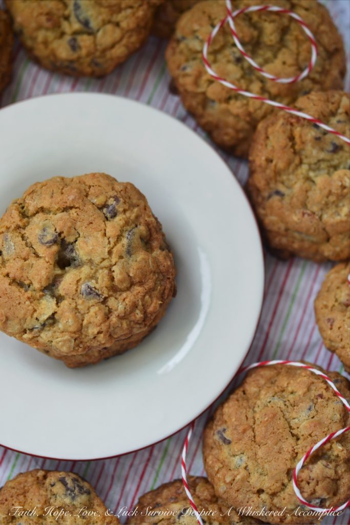 Santa's Special Bacon Chocolate Chip Cookies - Leave a cookie for Santa that he won't be able to resist. Bacon, chocolate, and maple give these cookies that little something special, which will have Santa coming back year after year for more.