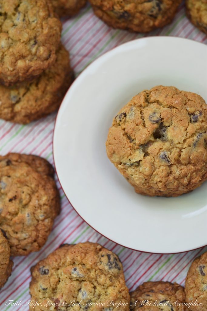 Santa's Special Bacon Chocolate Chip Cookies - Leave a cookie for Santa that he won't be able to resist. Bacon, chocolate, and maple give these cookies that little something special, which will have Santa coming back year after year for more.