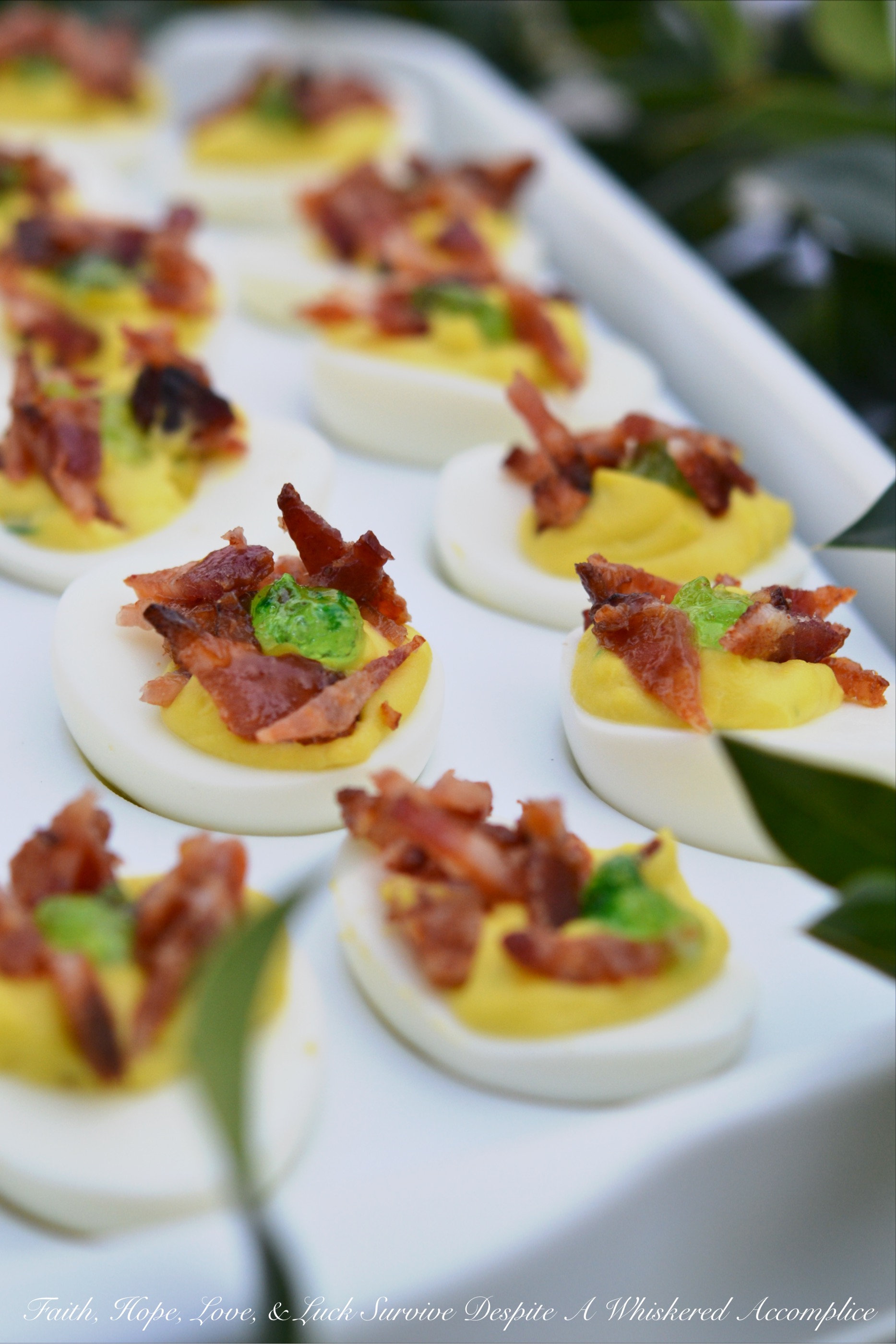 Candied Bacon Jalapeño Deviled Eggs