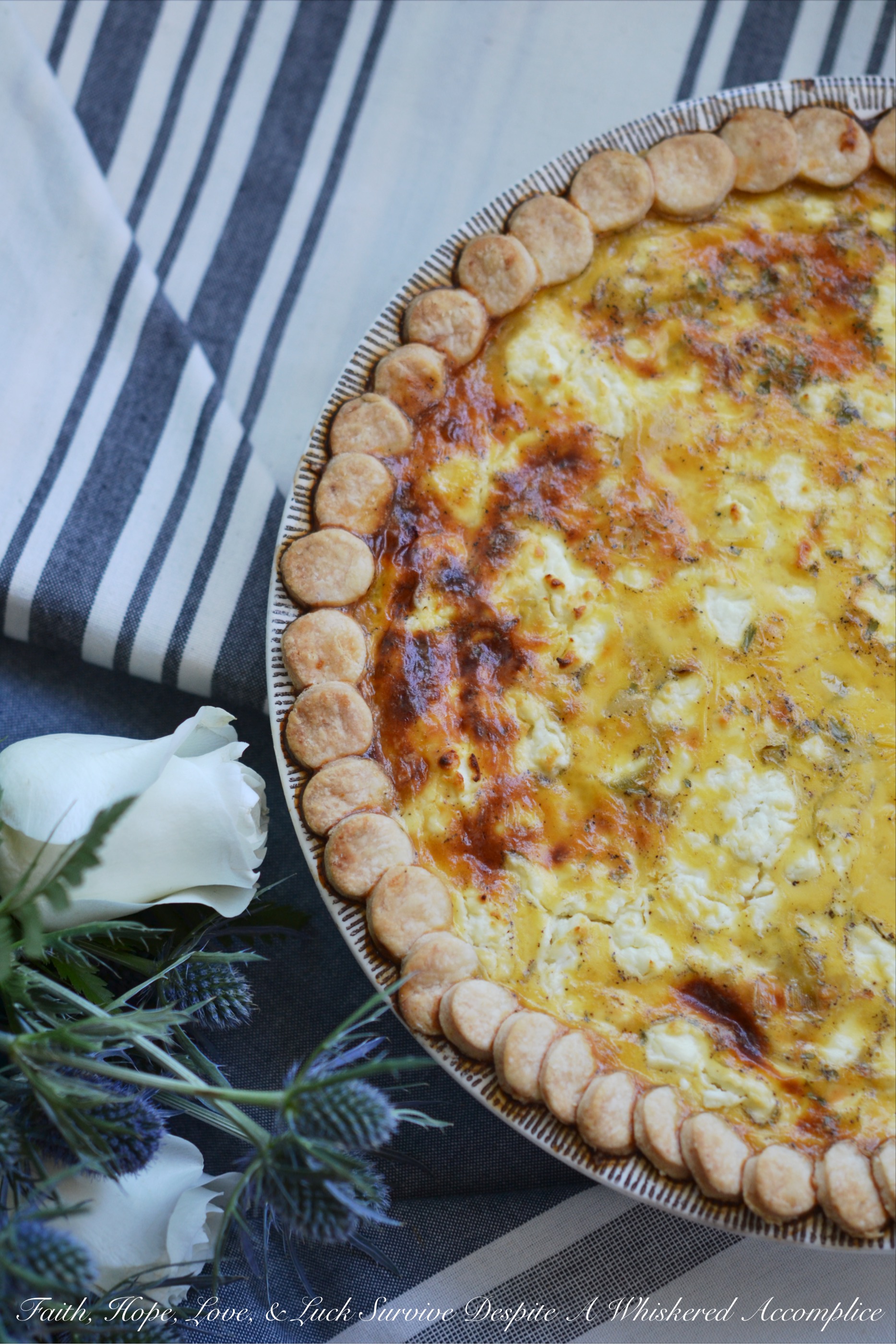 Scallop, Goat Cheese, & Leek Egg Pie - Forget everything you think you know about quiche. This scallop, goat cheese, and leek egg pie might sound a bit different, but trust me, it’s worth a try. The way the delicate seafood combines with tangy goat cheese and sweet leeks, all baked into a creamy egg custard, is simply delicious. Baked to golden perfection in a buttery crust, this fancy, yet simple-to-make seafood egg pie is perfect for breakfast, brunch, lunch, or even dinner. No matter the meal, I promise you’ll be hooked.