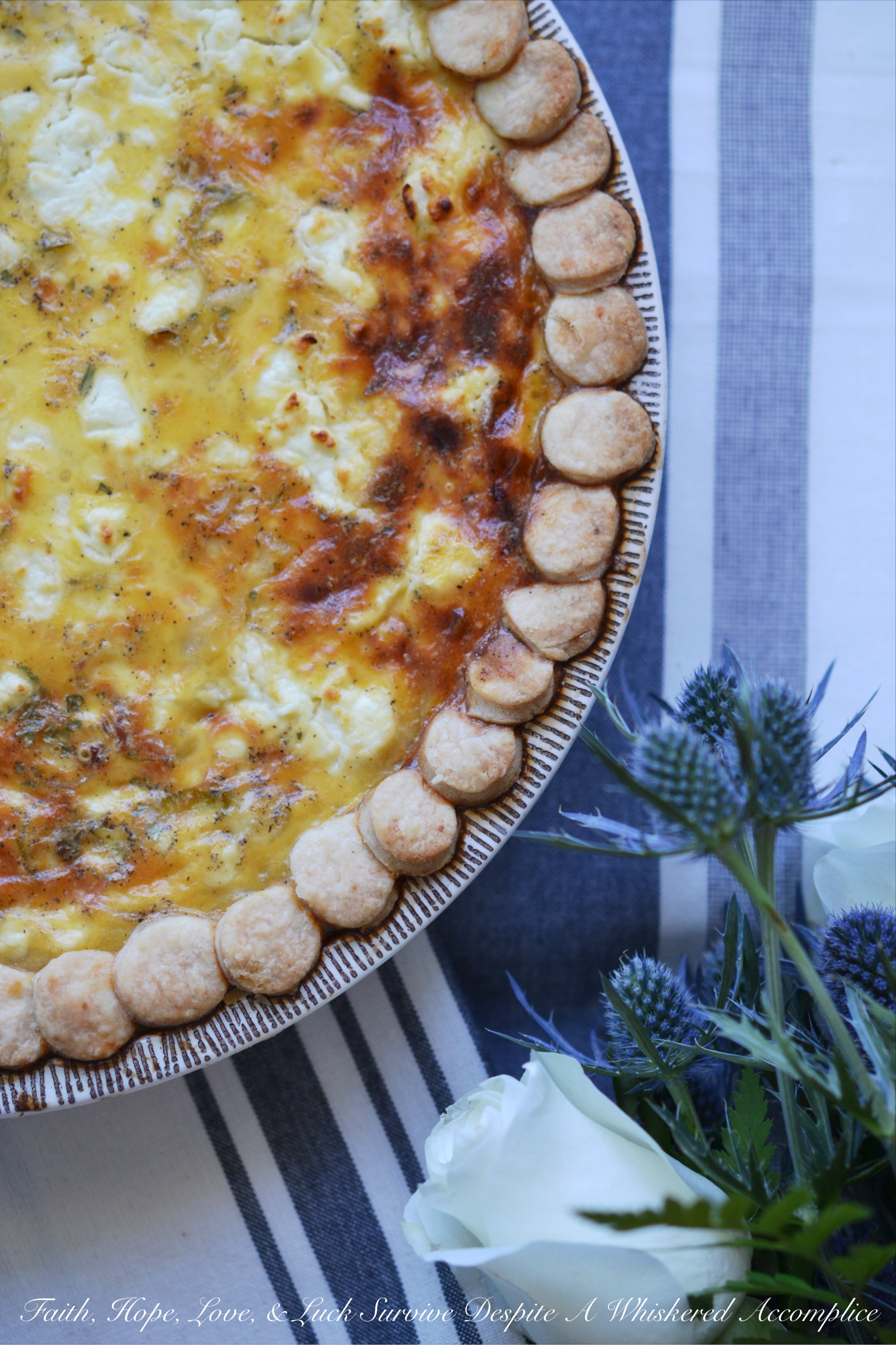 Scallop, Goat Cheese, & Leek Egg Pie - Forget everything you think you know about quiche. This scallop, goat cheese, and leek egg pie might sound a bit different, but trust me, it’s worth a try. The way the delicate seafood combines with tangy goat cheese and sweet leeks, all baked into a creamy egg custard, is simply delicious. Baked to golden perfection in a buttery crust, this fancy, yet simple-to-make seafood egg pie is perfect for breakfast, brunch, lunch, or even dinner. No matter the meal, I promise you’ll be hooked.
