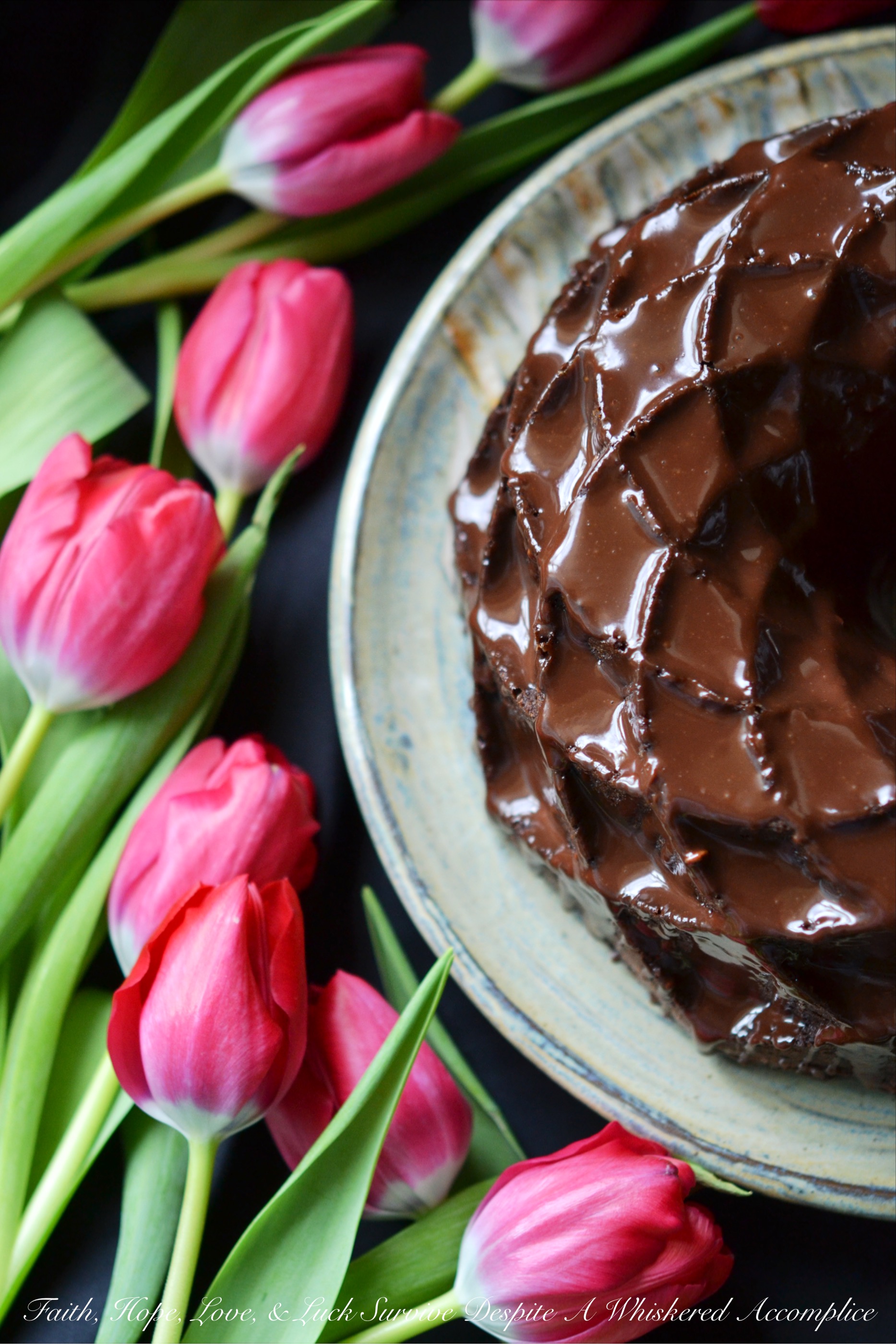 Roasted Balsamic Cherry Chocolate Cake