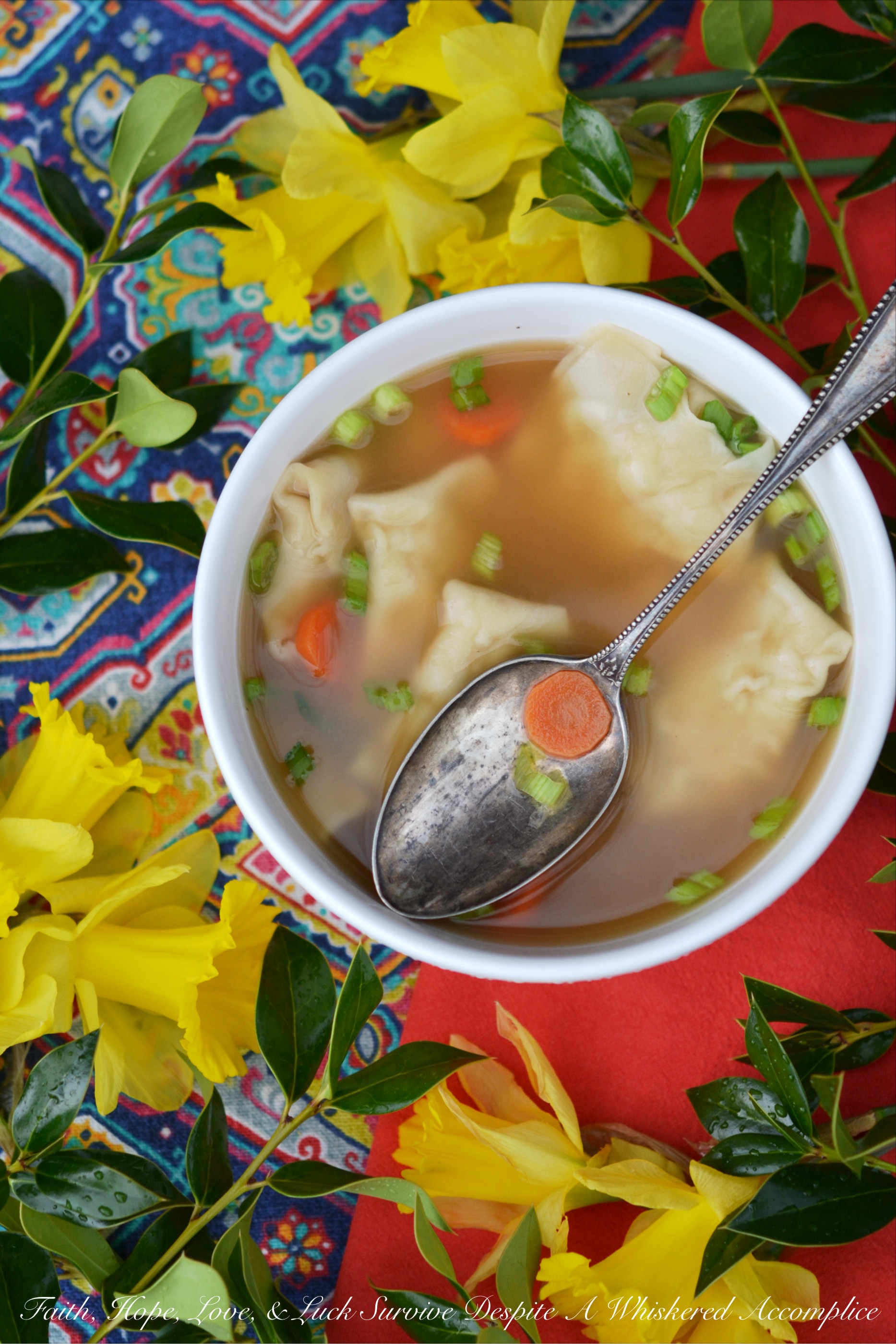 Shrimp Wonton Soup