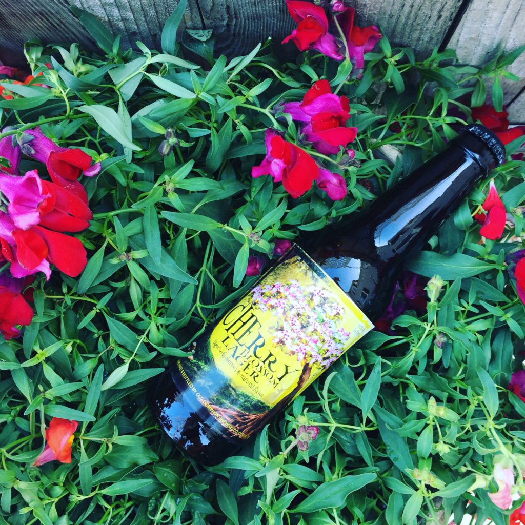 Cherry Blossom Lager - Dominion Brewing Company