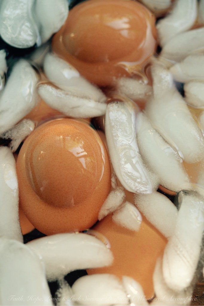 How To Hard-Boil Eggs - Faith, Hope, Love, & Luck Survive Despite a Whiskered Accomplice
