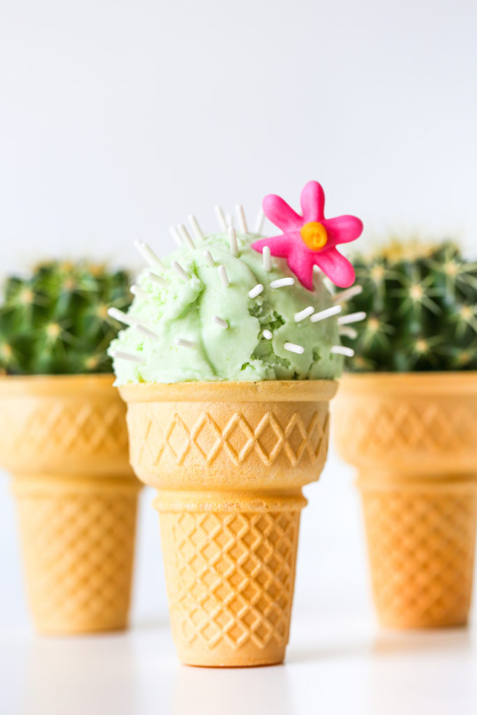 Cactus Ice Cream Cones - Studio DIY