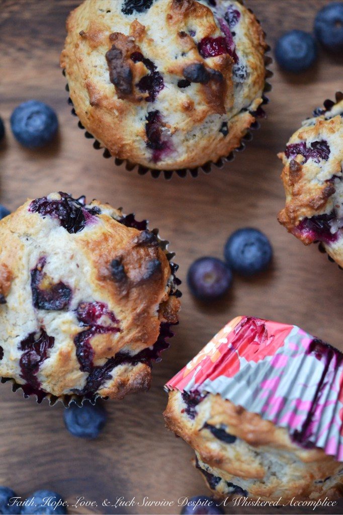 Chobani Simply 100 Blueberry Dinner Muffins - Faith, Hope, Love, and Luck Survive Despite a Whiskered Accomplice