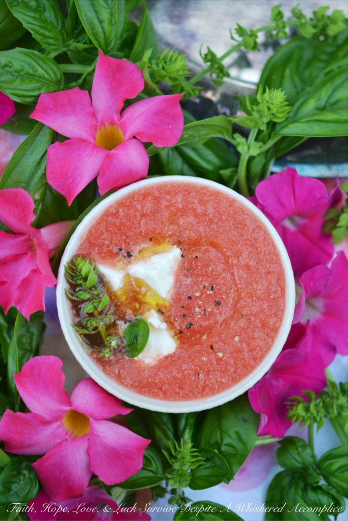Refreshing Watermelon and Basil Summer Soup - When summer cranks up the heat, it's easy to look for any excuse to eat something cold and refreshing. This refreshing watermelon and basil soup uses fresh garden basil and juicy watermelon, along with a sprinkle of feta and a drizzle of olive oil, to create a simple yet delicious summer soup. You'll be genuinely surprised by this chilled soup's sweet-and-salty combo. It’s the kind of soup that's perfect for a sweltering summer afternoon or evening.