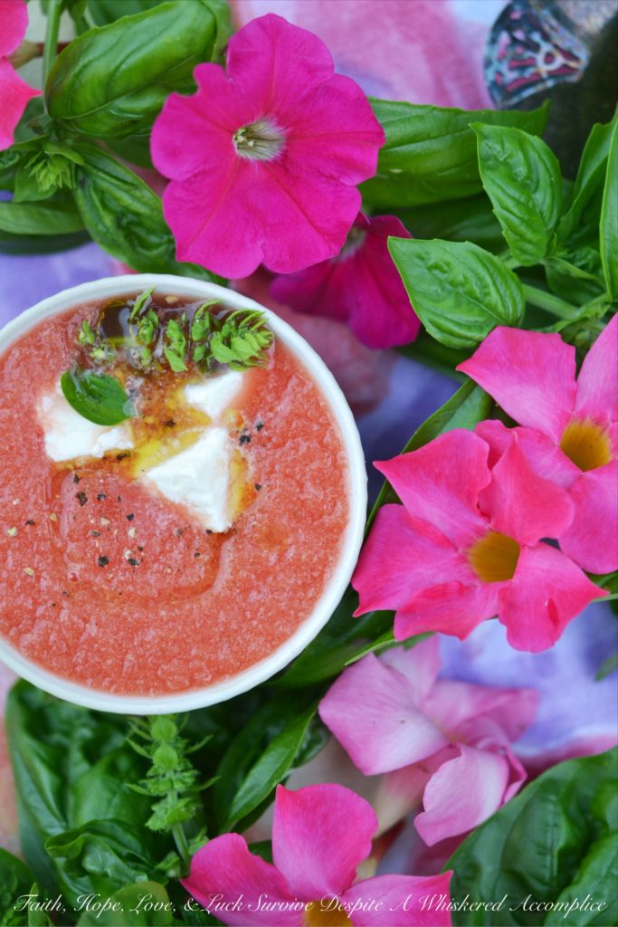 Refreshing Watermelon and Basil Summer Soup - When summer cranks up the heat, it's easy to look for any excuse to eat something cold and refreshing. This refreshing watermelon and basil soup uses fresh garden basil and juicy watermelon, along with a sprinkle of feta and a drizzle of olive oil, to create a simple yet delicious summer soup. You'll be genuinely surprised by this chilled soup's sweet-and-salty combo. It’s the kind of soup that's perfect for a sweltering summer afternoon or evening.