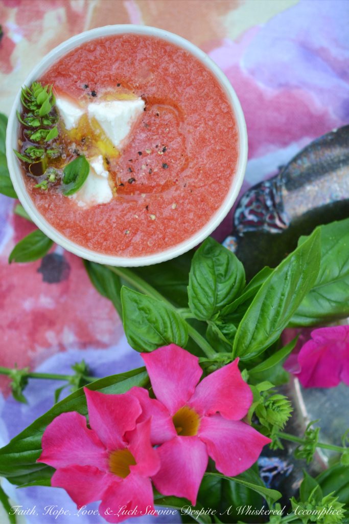 Refreshing Watermelon and Basil Summer Soup - When summer cranks up the heat, it's easy to look for any excuse to eat something cold and refreshing. This refreshing watermelon and basil soup uses fresh garden basil and juicy watermelon, along with a sprinkle of feta and a drizzle of olive oil, to create a simple yet delicious summer soup. You'll be genuinely surprised by this chilled soup's sweet-and-salty combo. It’s the kind of soup that's perfect for a sweltering summer afternoon or evening.