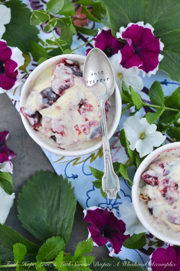 Cherry Graham Cracker Pie Frozen Custard - Cherry pie filling and crushed graham crackers help transform vanilla frozen custard into a creamy and delicious layered ice cream treat. Whether you use homemade or store-bought cherry pie filling, your family and friends will agree that this cherry pie frozen custard is a definite winner when it comes to summertime dessert recipes.