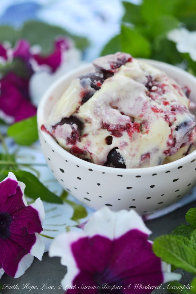 Cherry Graham Cracker Pie Frozen Custard - Cherry pie filling and crushed graham crackers help transform vanilla frozen custard into a creamy and delicious layered ice cream treat. Whether you use homemade or store-bought cherry pie filling, your family and friends will agree that this cherry pie frozen custard is a definite winner when it comes to summertime dessert recipes.